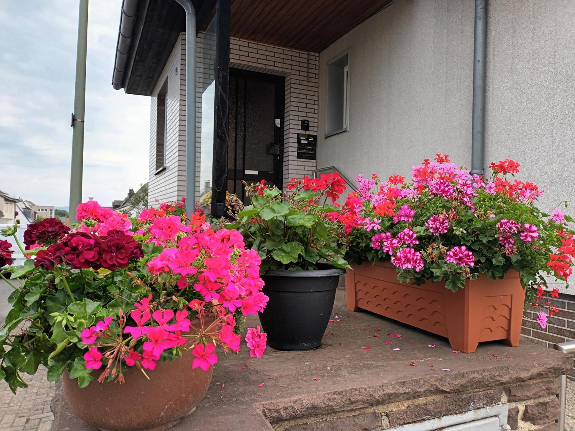 Ferienwohnung Kassel - 2 Exteriér fotografie